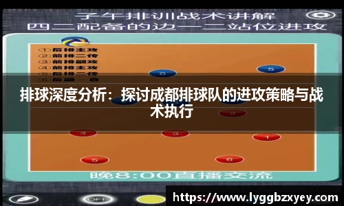 排球深度分析：探讨成都排球队的进攻策略与战术执行
